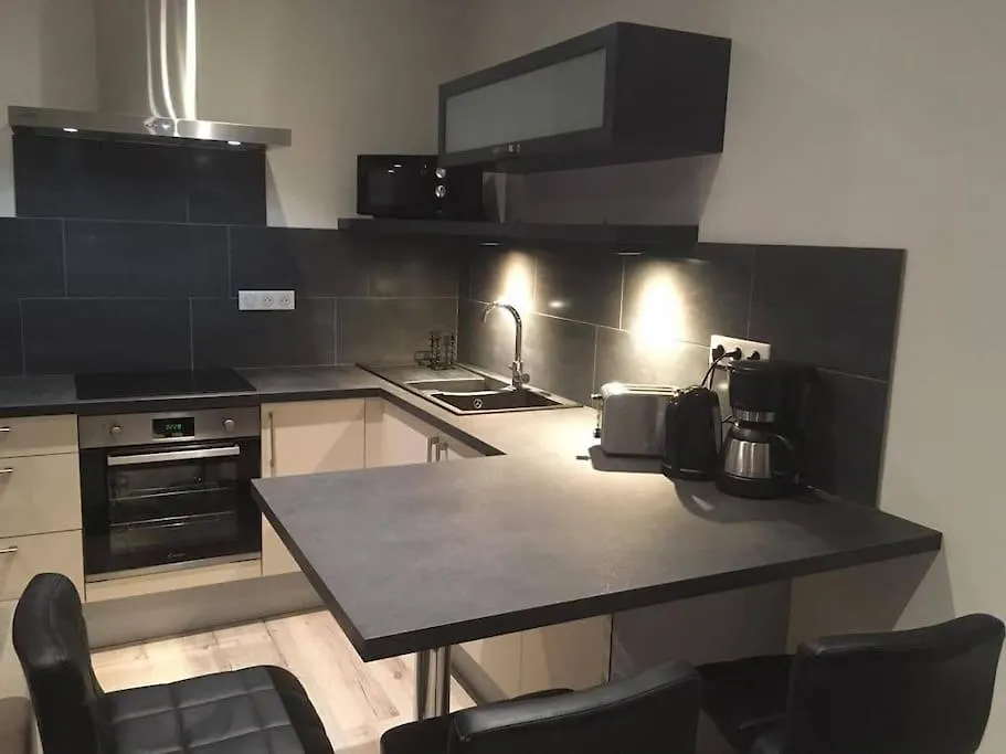 公寓 Appartement Touristique, Proche De La Cathedrale 阿尔比 法国